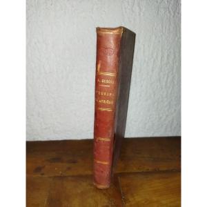 Memories Of A European Bird In Africa Swallow Peregrination Fauna A. Dubois 