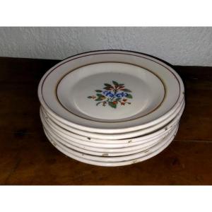 Regional Earthenware Set Of 8 Antique Plates Enamelled Earthenware With Floral Motif 19th Century