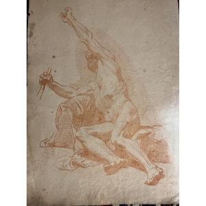 Large Study Of Male Anatomy, Sanguine Drawing, 18th Century.