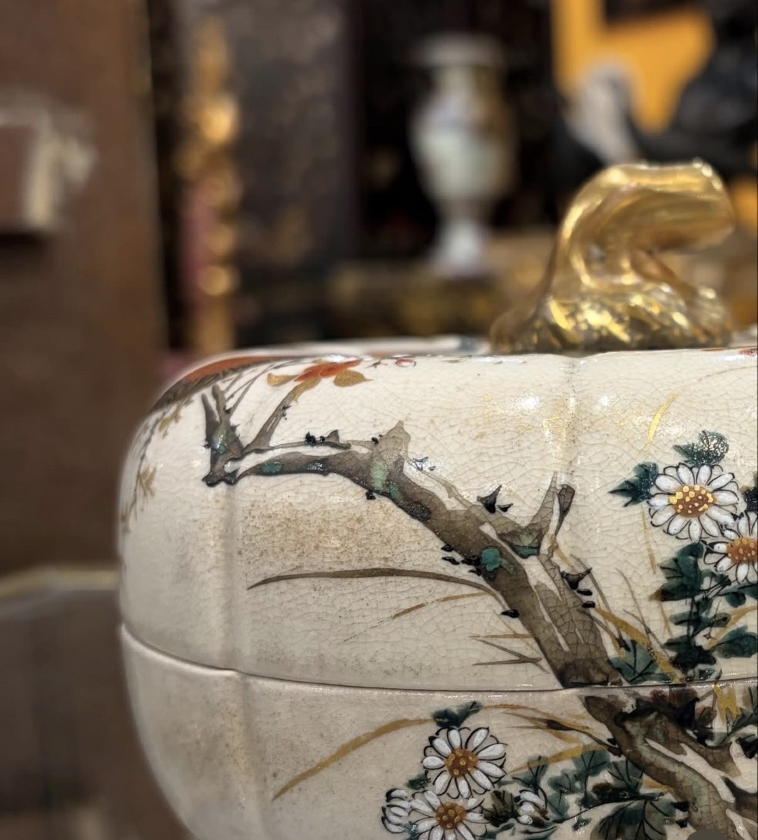 Coppa  Satsuma-photo-6