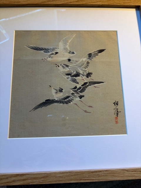 Disegno acquarellato; Giappone-photo-3