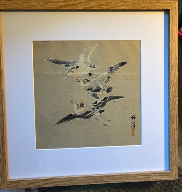 Disegno acquarellato; Giappone-photo-1