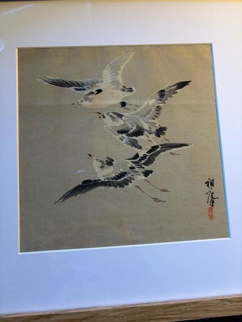 Disegno acquarellato; Giappone-photo-6