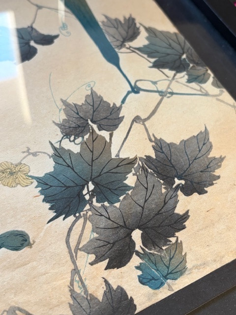 Disegno acquarellato, Giappone-photo-2