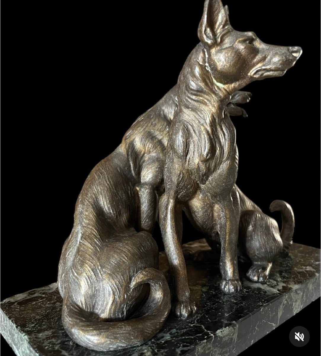 Scultura in bronzo  "Due pastori tedeschi"-photo-4