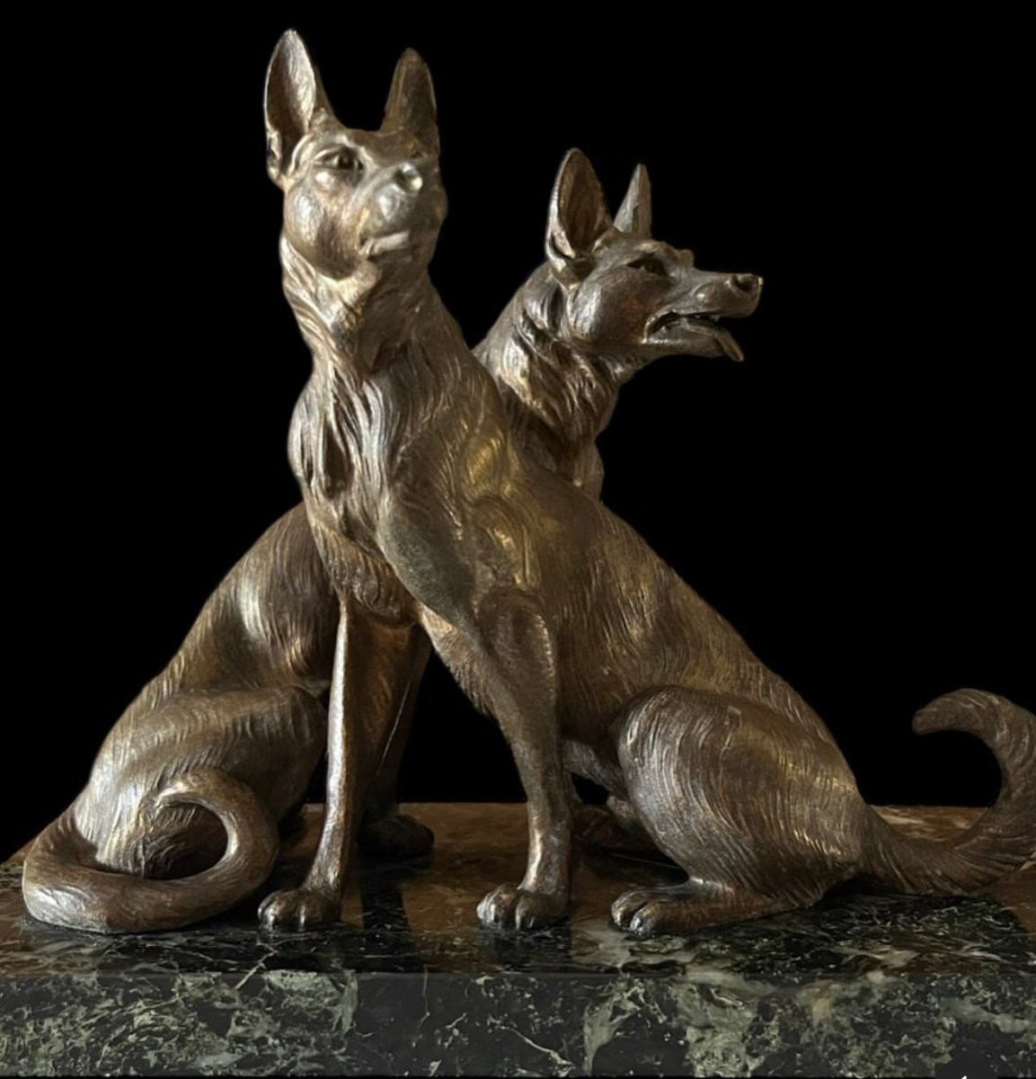 Scultura in bronzo  "Due pastori tedeschi"-photo-6