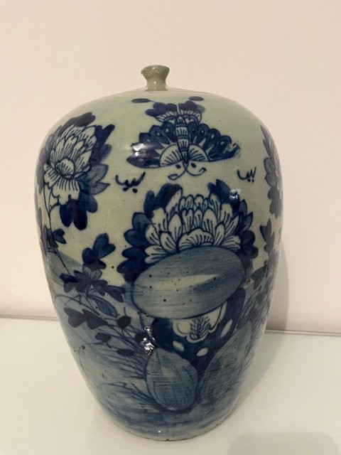 Potiche in porcellana bianca e blu, Cina  XIX Sec. -photo-4