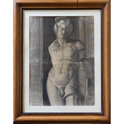 Apollo Academic Drawing