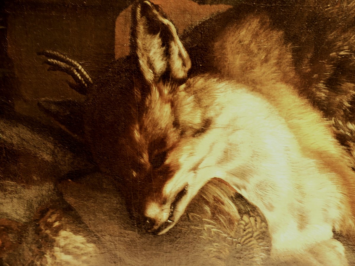 R.F. WIDT NATURA MORTA CON SELVAGGINA INIZI XVIII SECOLO-photo-2
