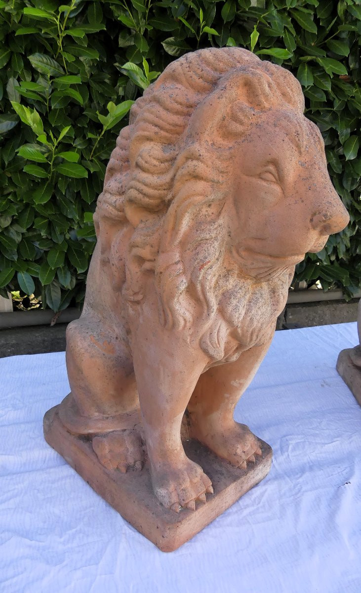 TERRACOTTA PRIMI DEL XX SECOLO-photo-3