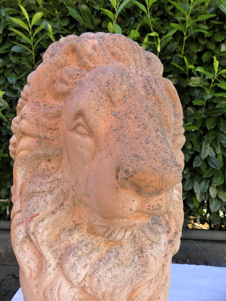 TERRACOTTA PRIMI DEL XX SECOLO-photo-3