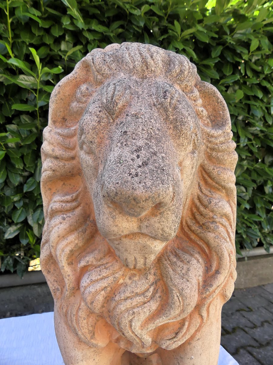 TERRACOTTA PRIMI DEL XX SECOLO-photo-4