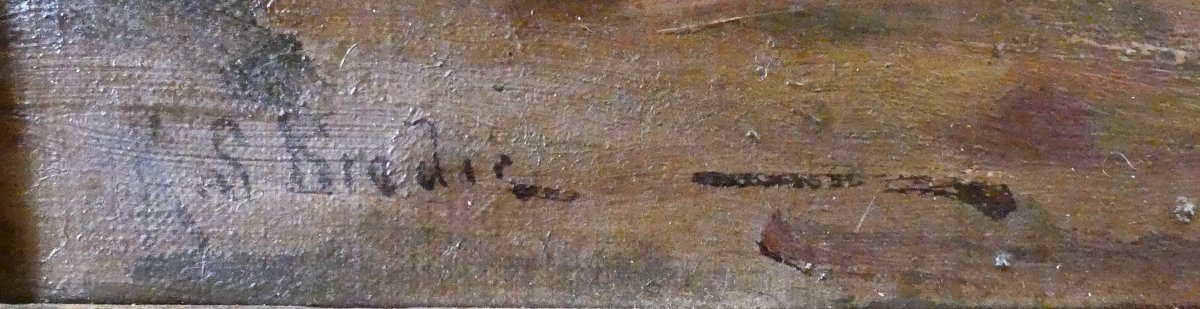 SCOZIA XIX SECOLO-photo-2