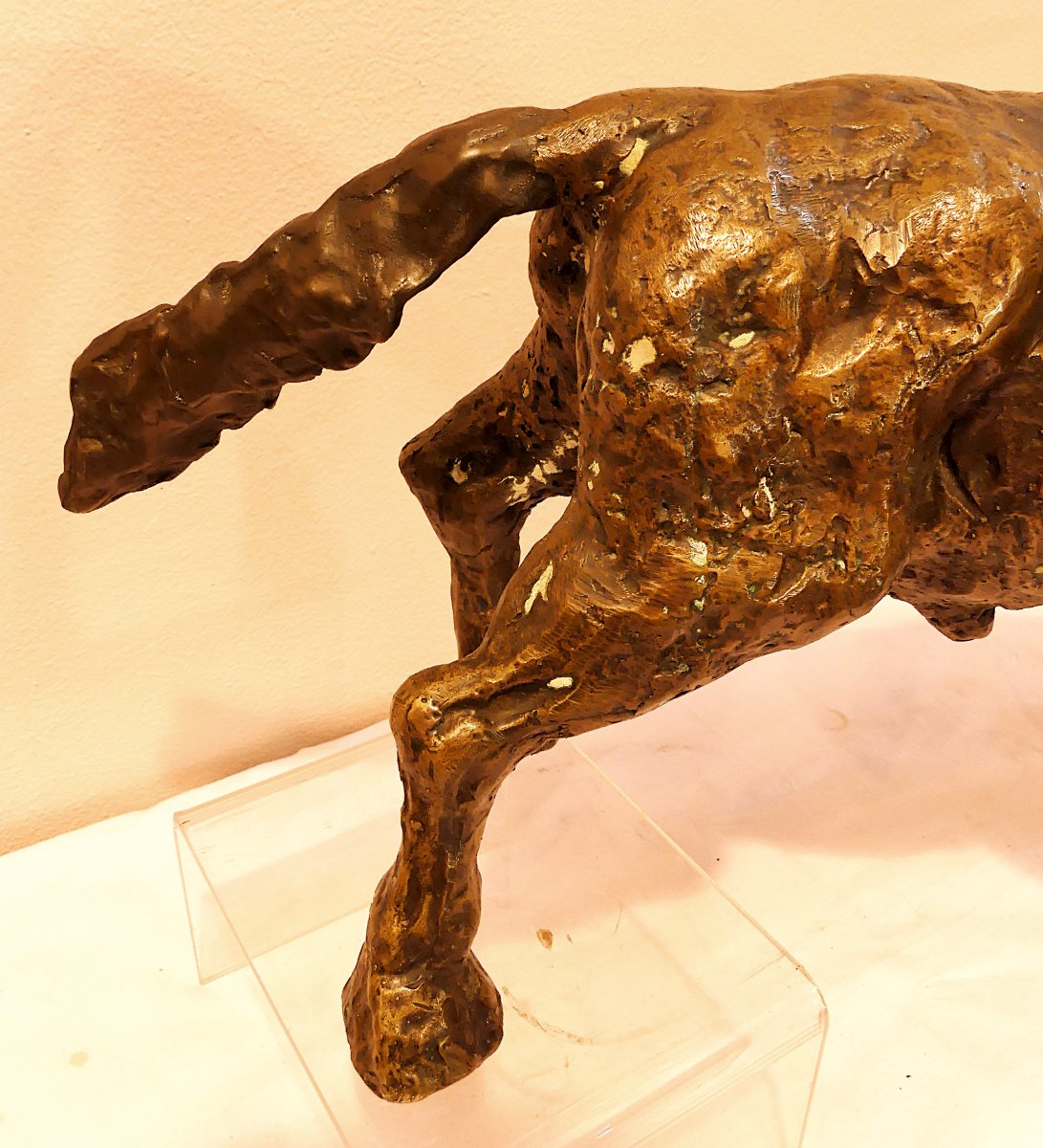 TOMMASO GISMONDI "IL TORO"-photo-1