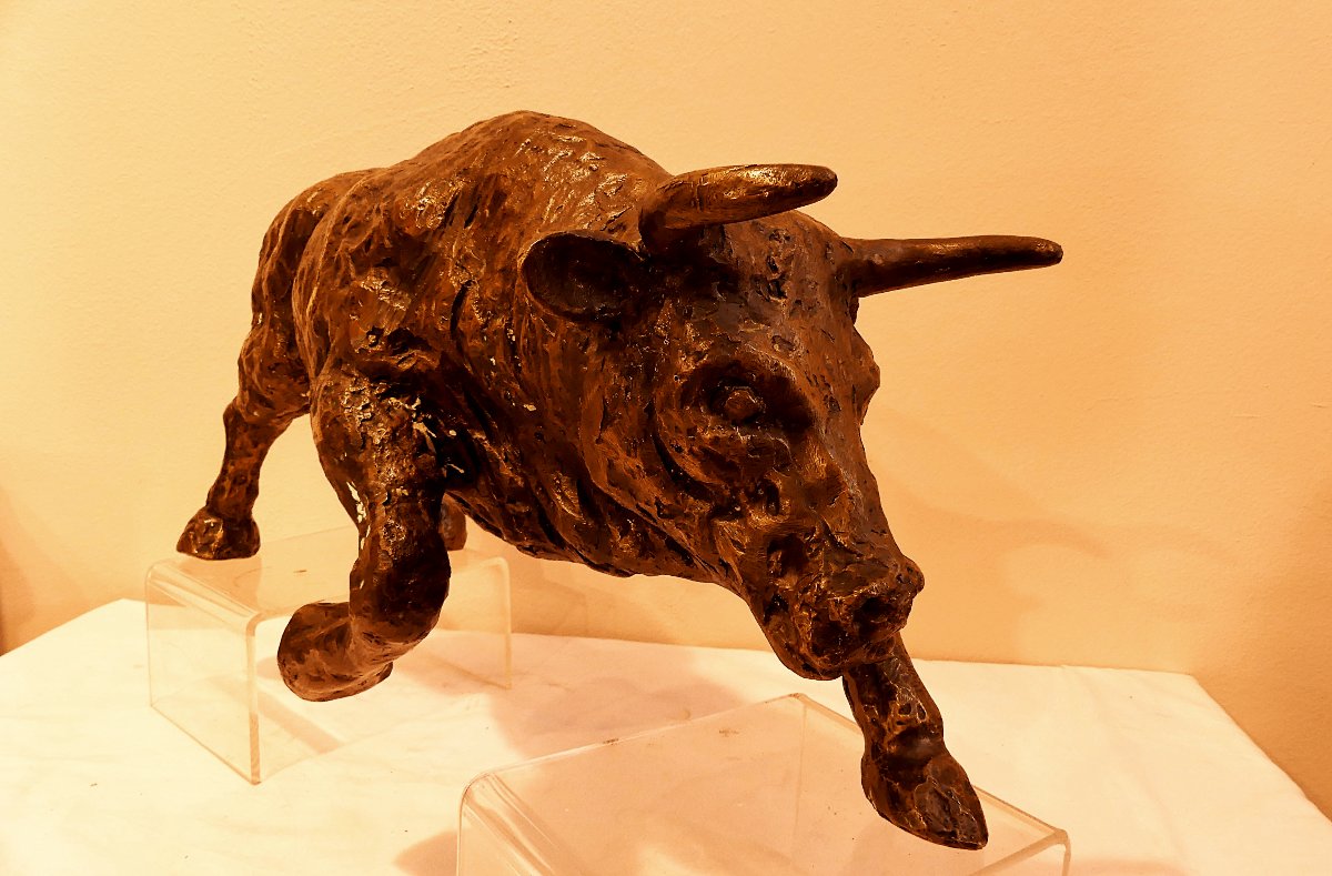 TOMMASO GISMONDI "IL TORO"-photo-7