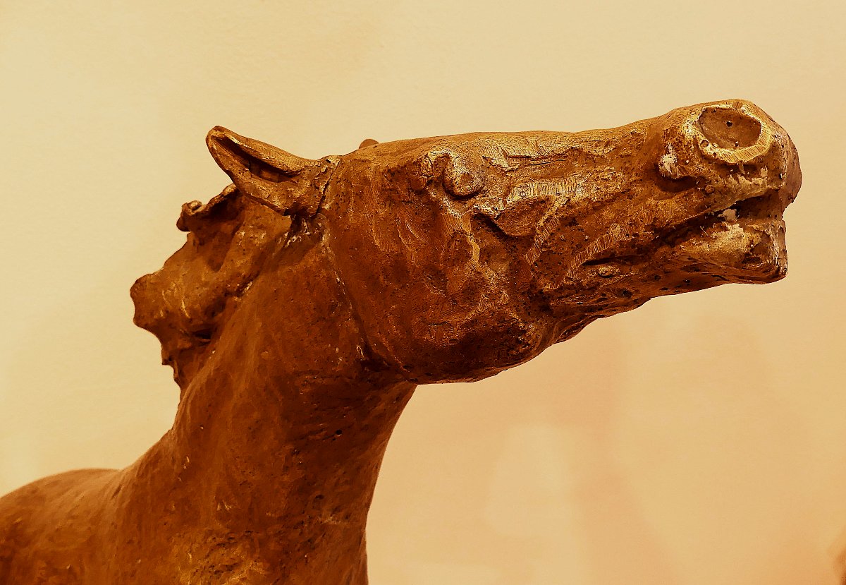 TOMMASO GISMONDI  IL CAVALLO RAMPANTE-photo-3