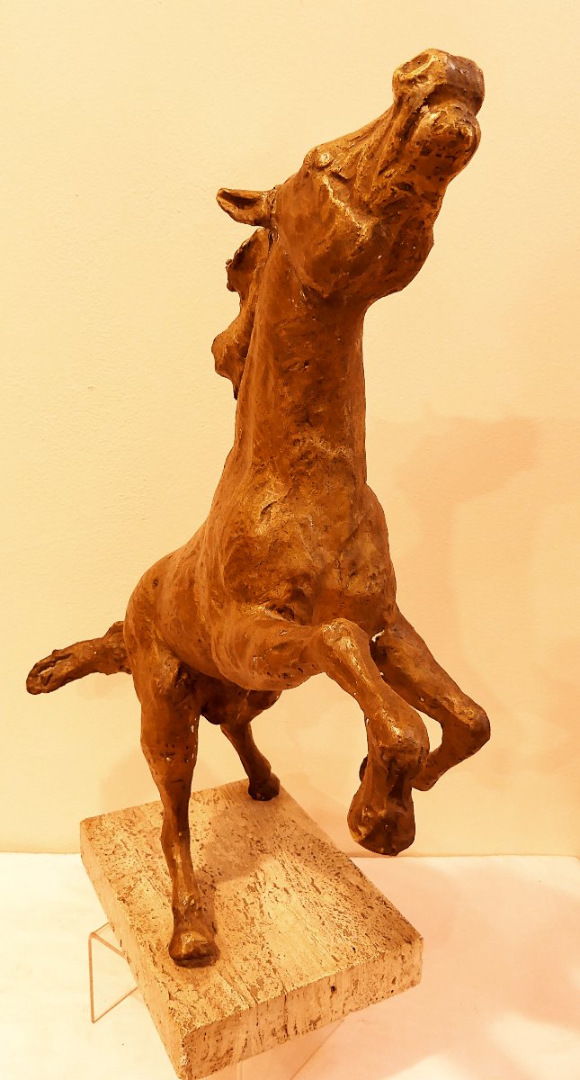 TOMMASO GISMONDI  IL CAVALLO RAMPANTE-photo-1