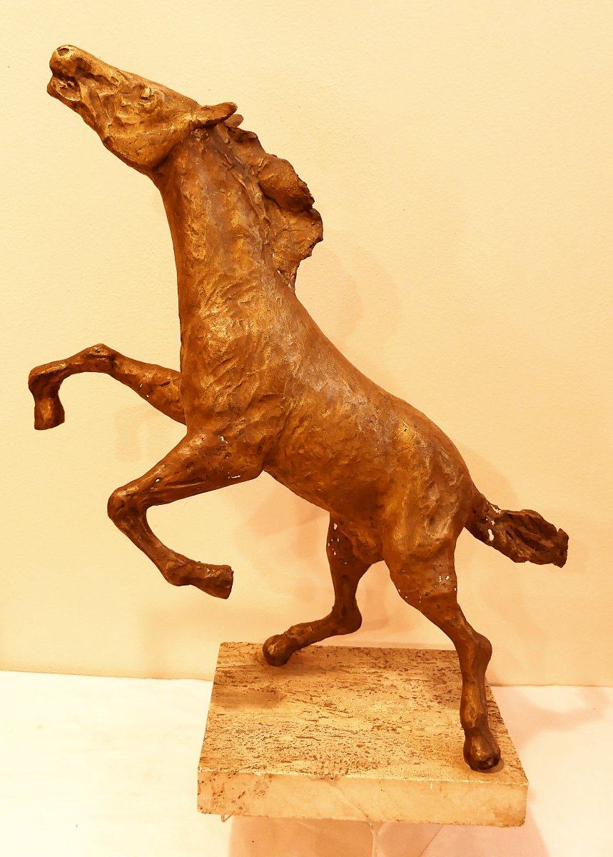 TOMMASO GISMONDI  IL CAVALLO RAMPANTE-photo-2
