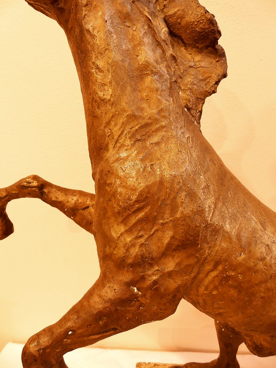 TOMMASO GISMONDI  IL CAVALLO RAMPANTE-photo-3