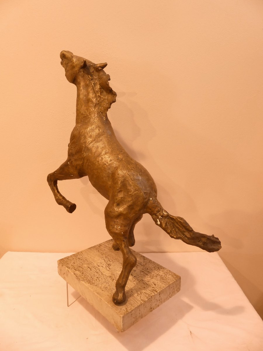 TOMMASO GISMONDI  IL CAVALLO RAMPANTE-photo-4