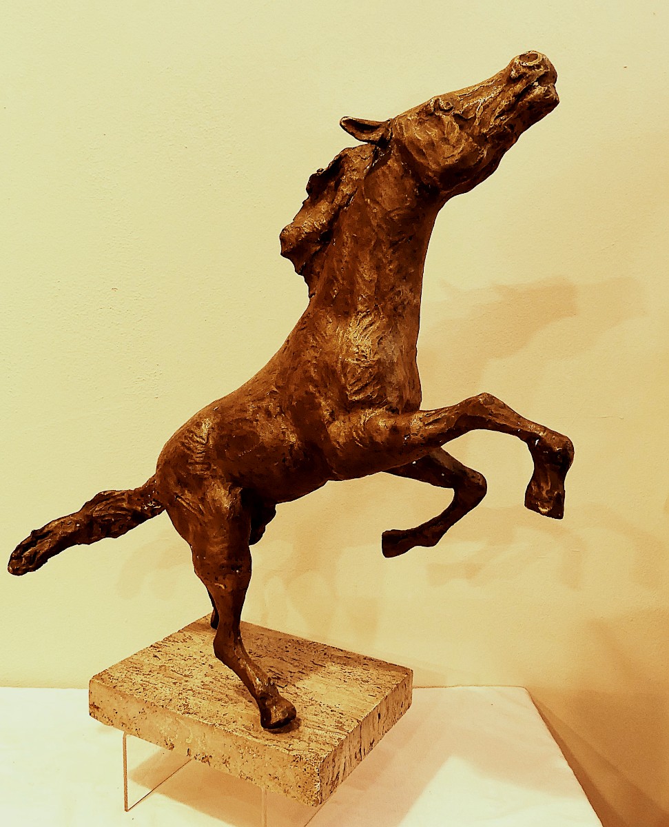 TOMMASO GISMONDI  IL CAVALLO RAMPANTE