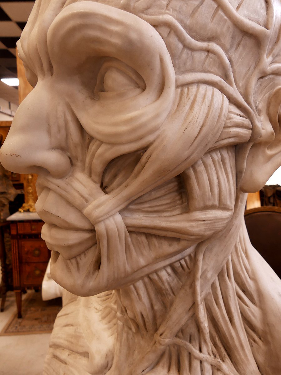 GRANDE E'CORCHE' IN MARMO PRIMI DEL XX SECOLO-photo-3