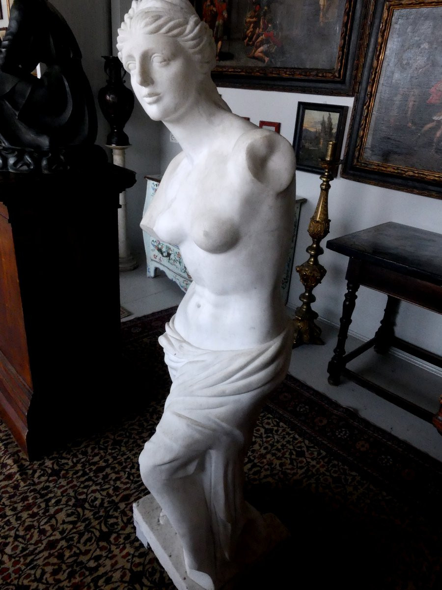 GRANDE VENERE NEOCLASSICA IN MARMO BIANCO DI CARRARA-photo-3