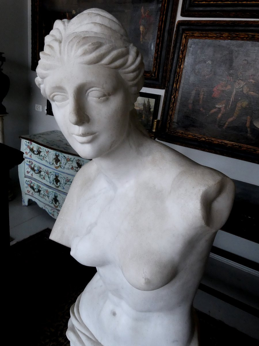 GRANDE VENERE NEOCLASSICA IN MARMO BIANCO DI CARRARA-photo-4