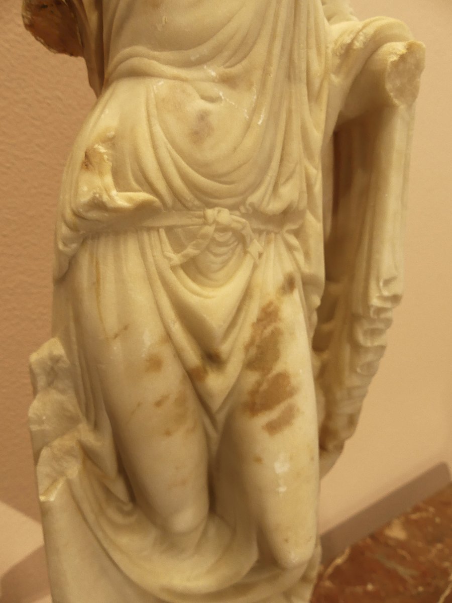 FLORA FARNESE DEL XVIII SECOLO-photo-1