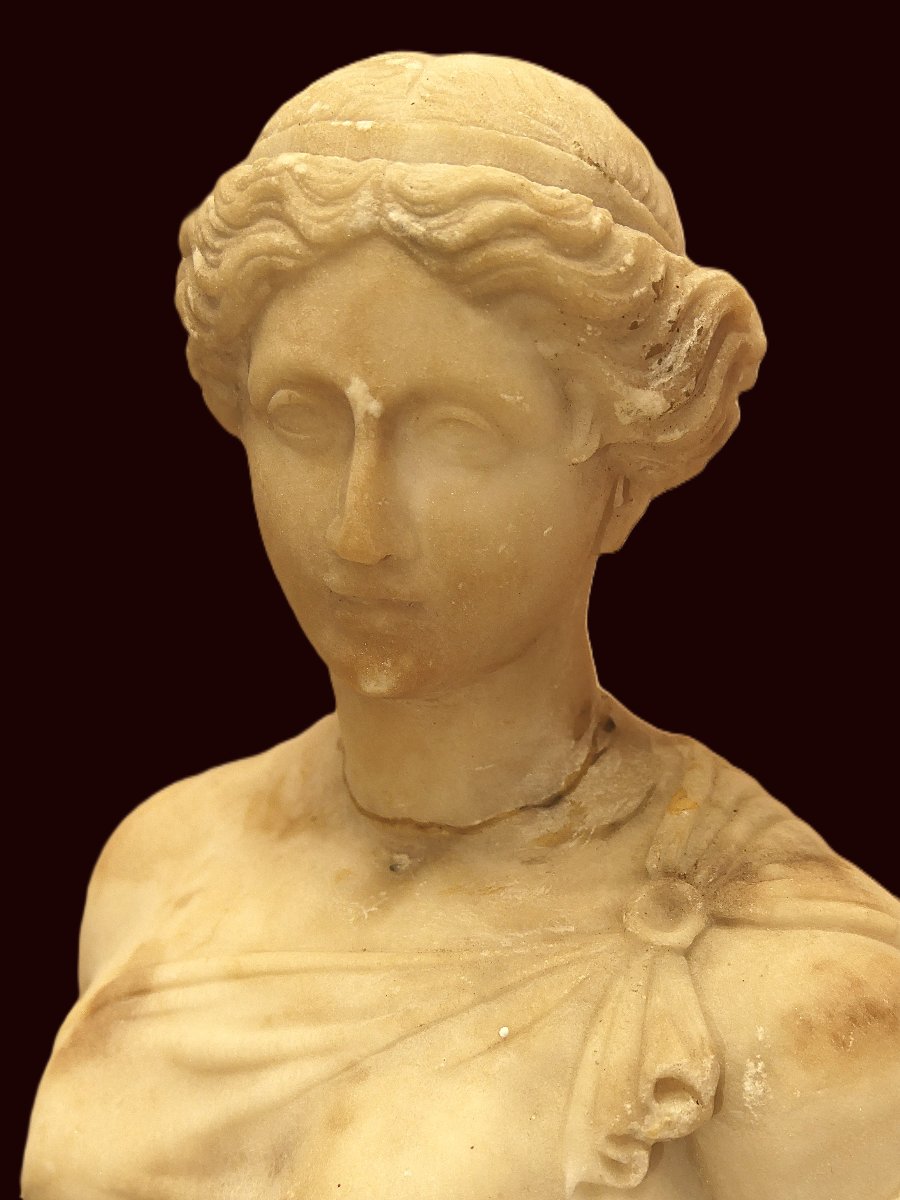 FLORA FARNESE DEL XVIII SECOLO-photo-3