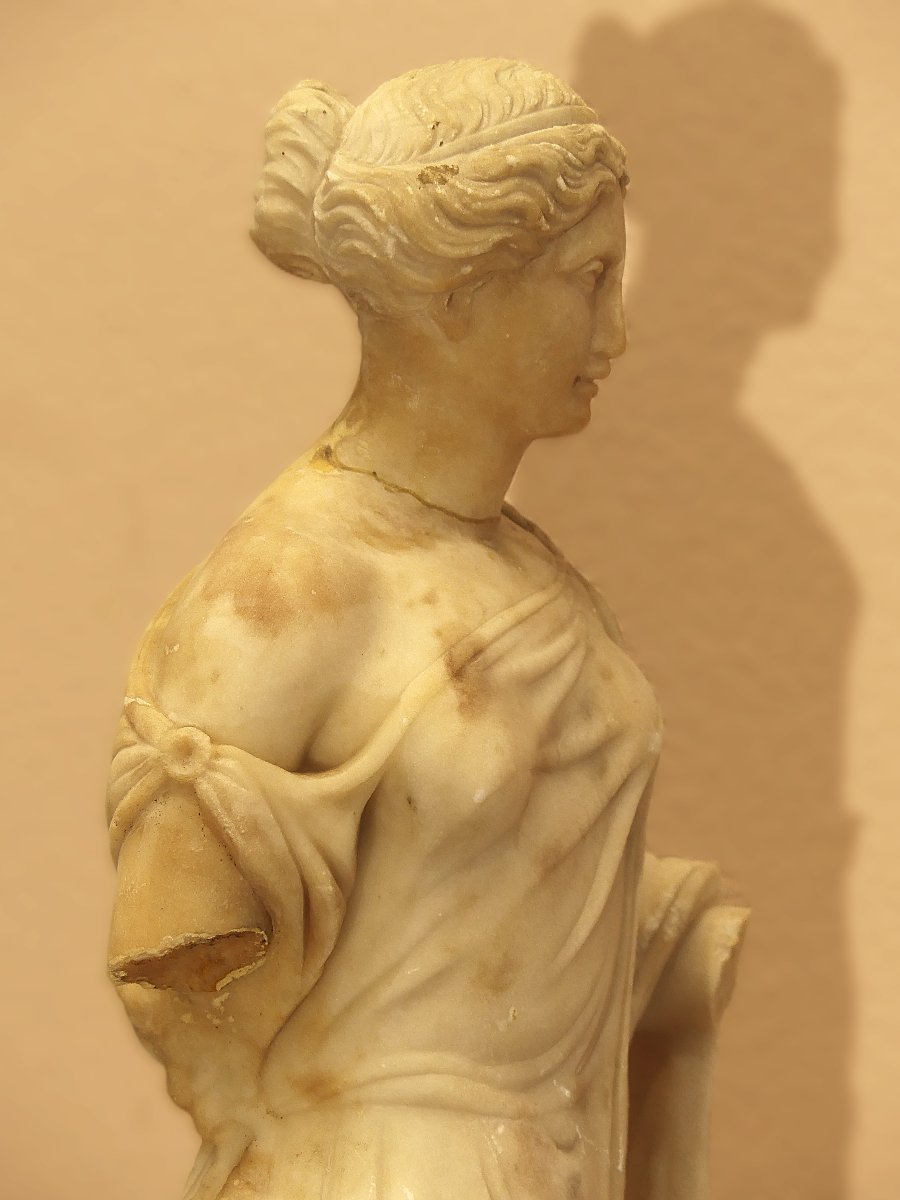 FLORA FARNESE DEL XVIII SECOLO-photo-4