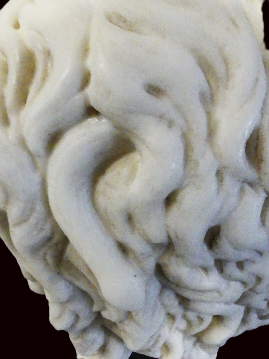 MEDUSA XIX SECOLO-photo-4