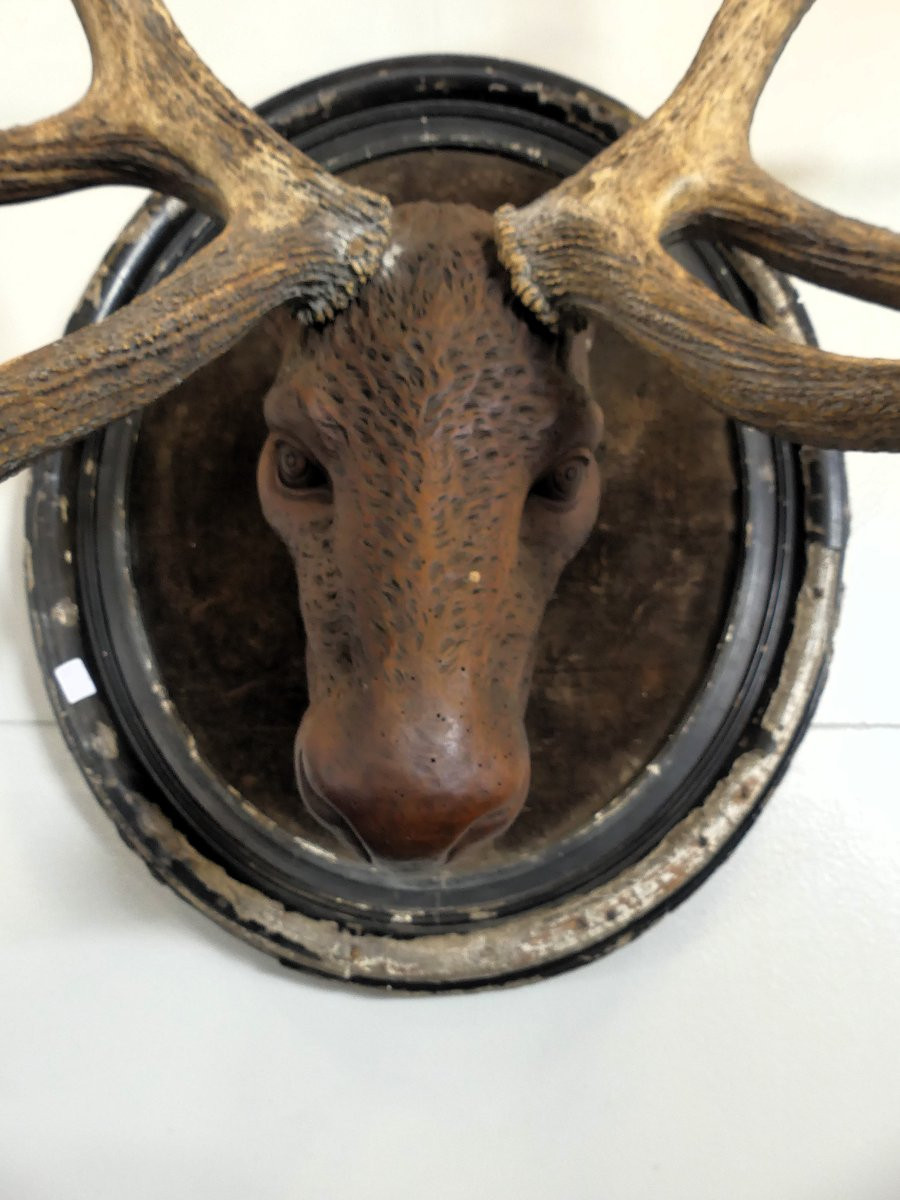 FORESTA NERA XIX SECOLO-photo-2