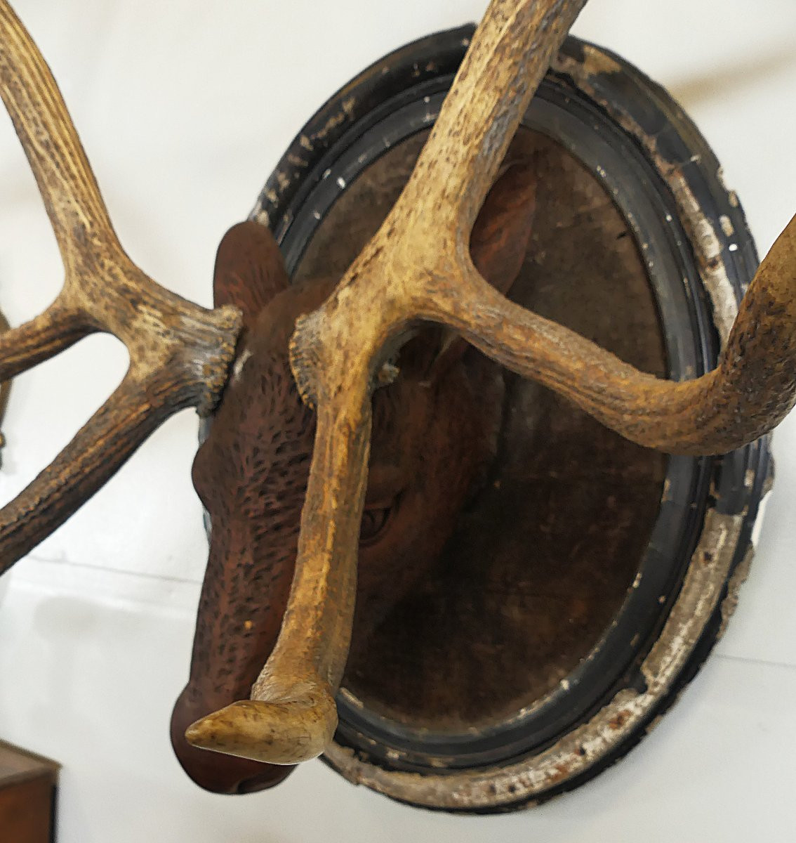 FORESTA NERA XIX SECOLO-photo-4