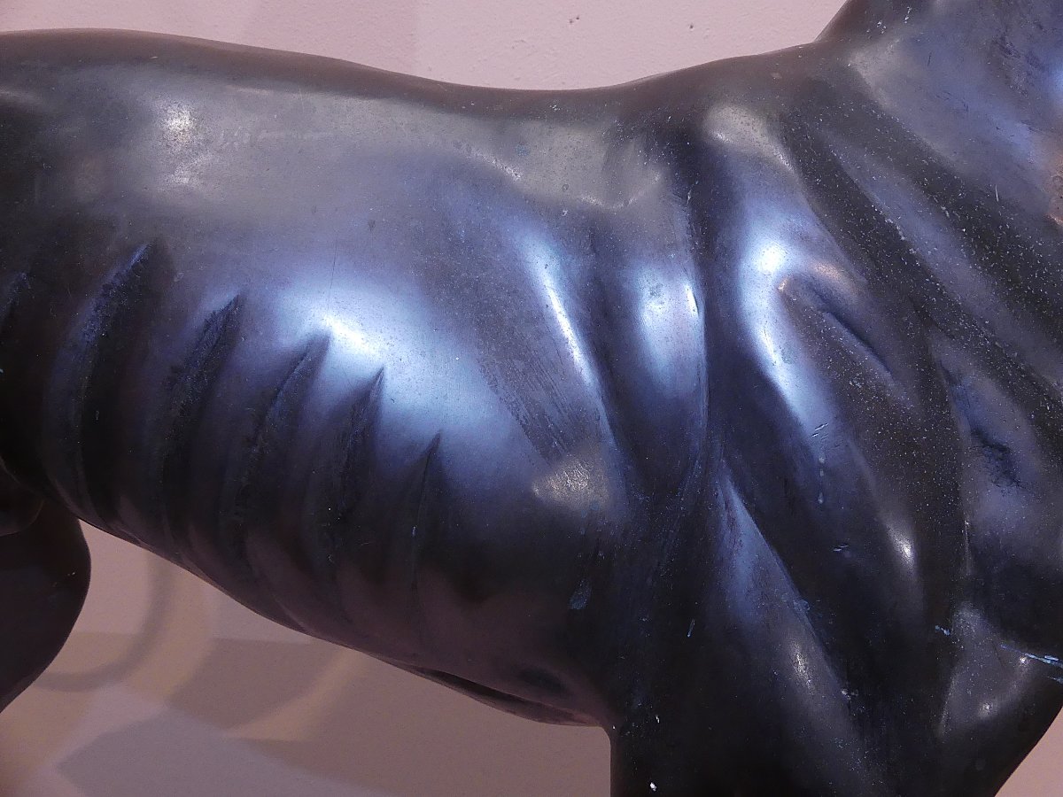 PRIMI DEL XX SECOLO-photo-2