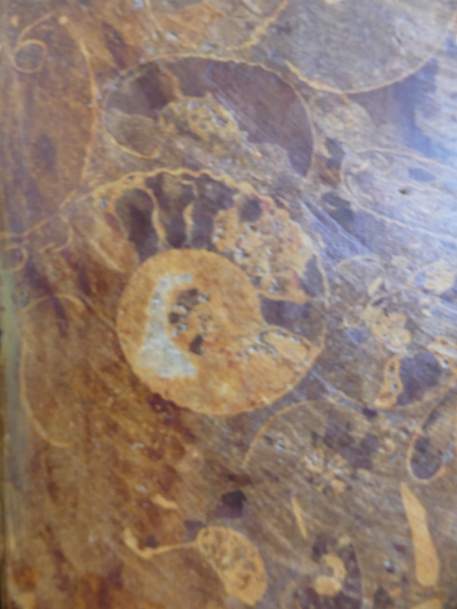 COLONIE INDOBRITANNICHE XIX SECOLO-photo-1