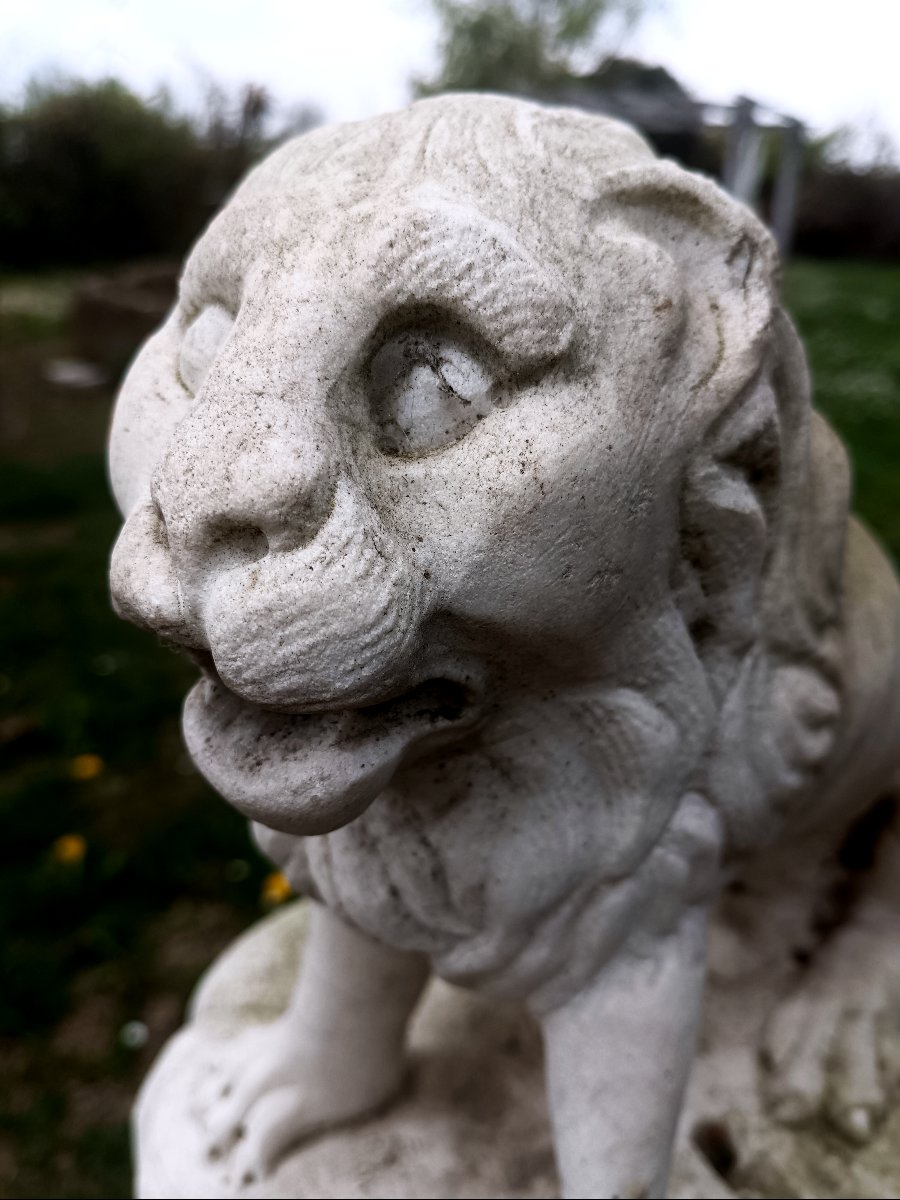 XVIII SECOLO-photo-3