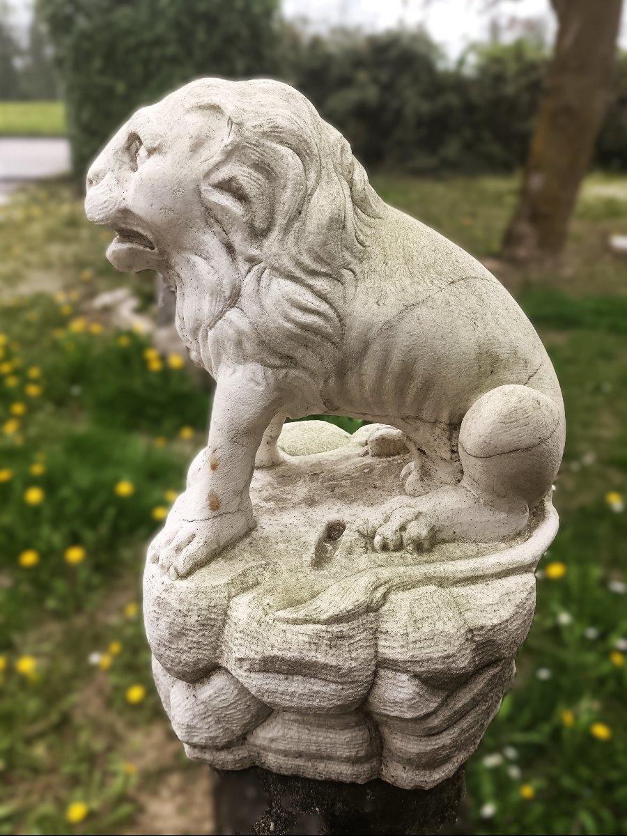 XVIII SECOLO-photo-4