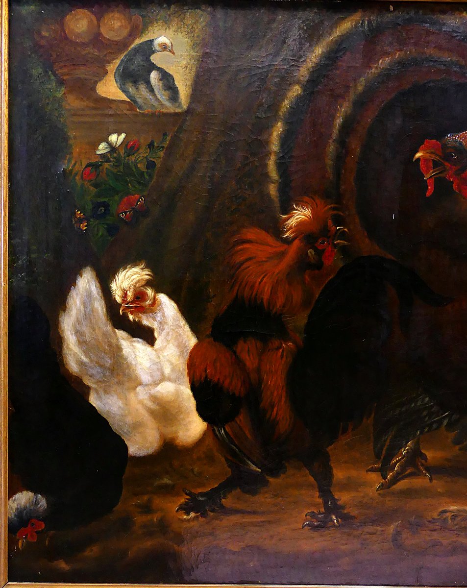 DISPUTA TRA TACCHINO E GALLO "" DA ABRAHAM BUSSCHOP"""-photo-2