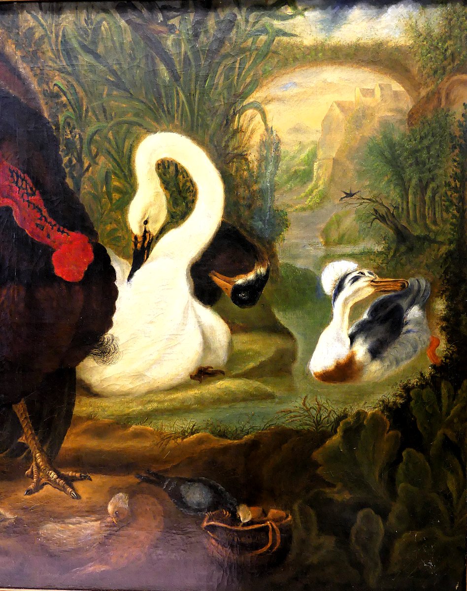 DISPUTA TRA TACCHINO E GALLO "" DA ABRAHAM BUSSCHOP"""-photo-4