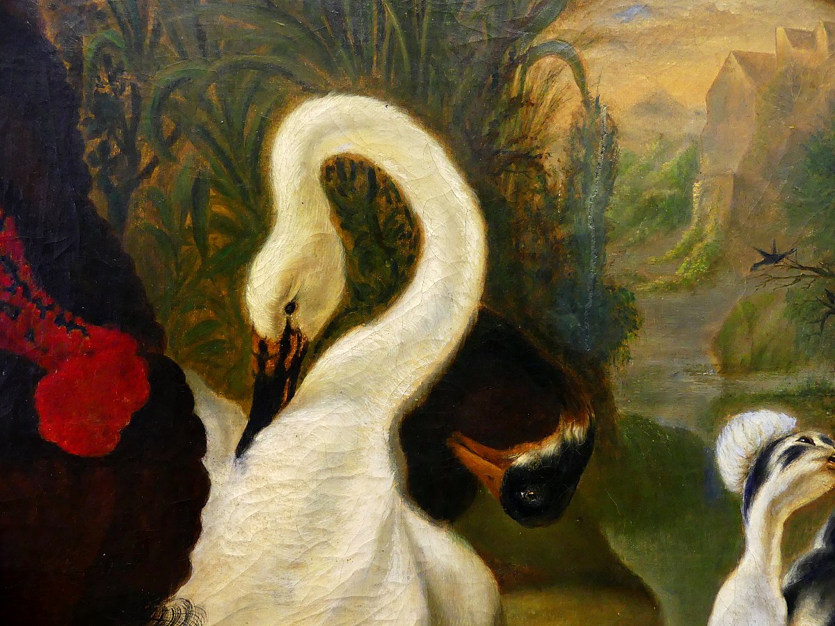 DISPUTA TRA TACCHINO E GALLO "" DA ABRAHAM BUSSCHOP"""-photo-2