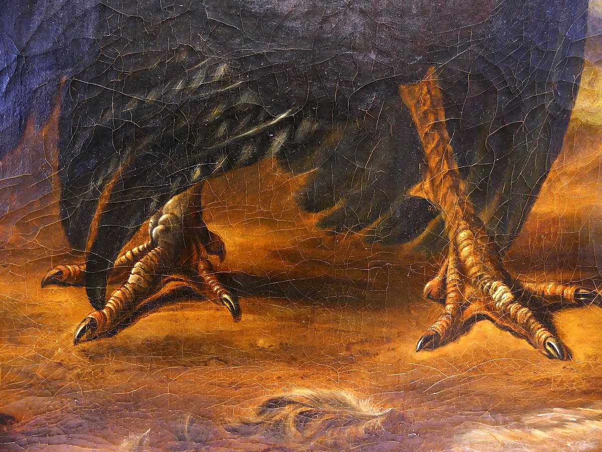 DISPUTA TRA TACCHINO E GALLO "" DA ABRAHAM BUSSCHOP"""-photo-4