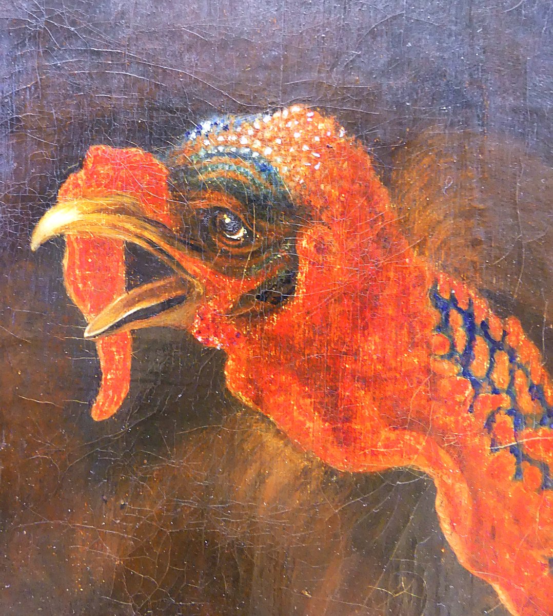 DISPUTA TRA TACCHINO E GALLO "" DA ABRAHAM BUSSCHOP"""-photo-6