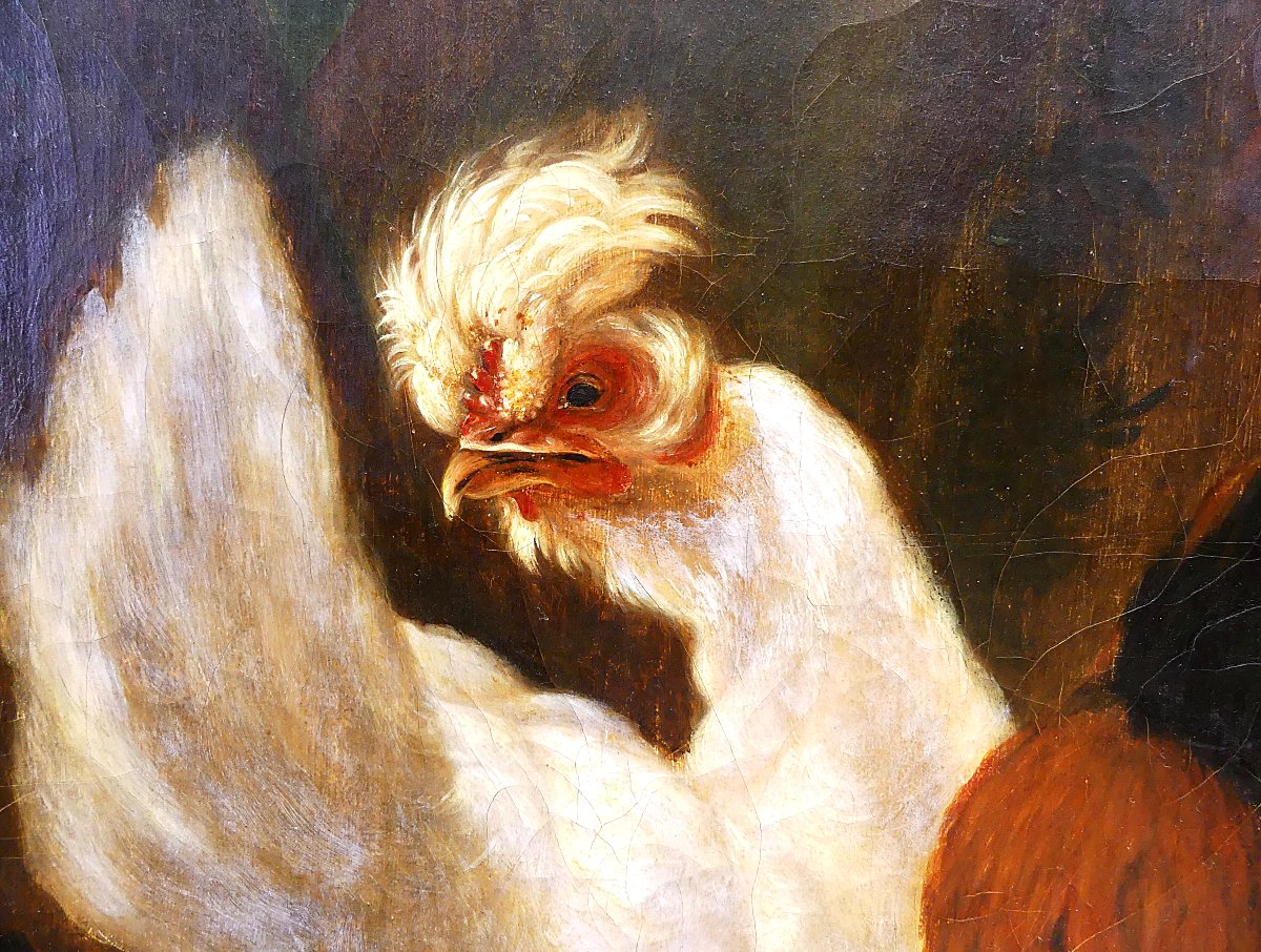 DISPUTA TRA TACCHINO E GALLO "" DA ABRAHAM BUSSCHOP"""-photo-7