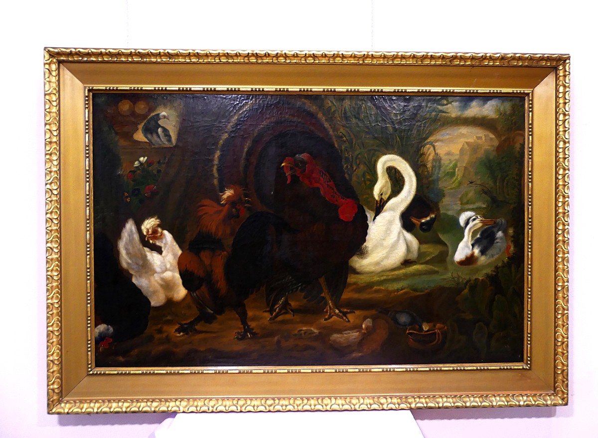 DISPUTA TRA TACCHINO E GALLO "" DA ABRAHAM BUSSCHOP"""