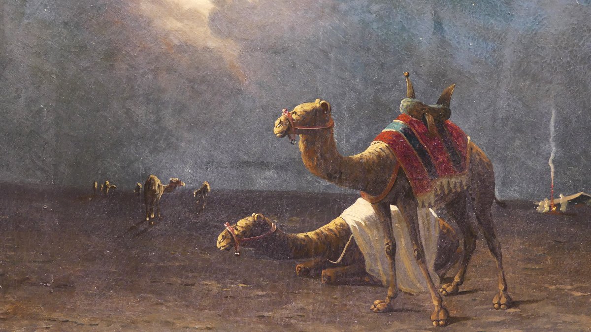 M.BOUVIER "NOTTE NEL DESERTO"-photo-7