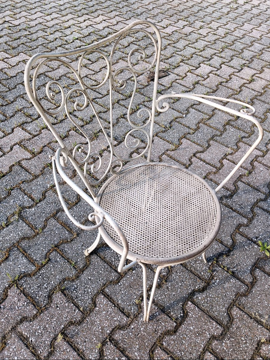GARDEN SELCTION-photo-2