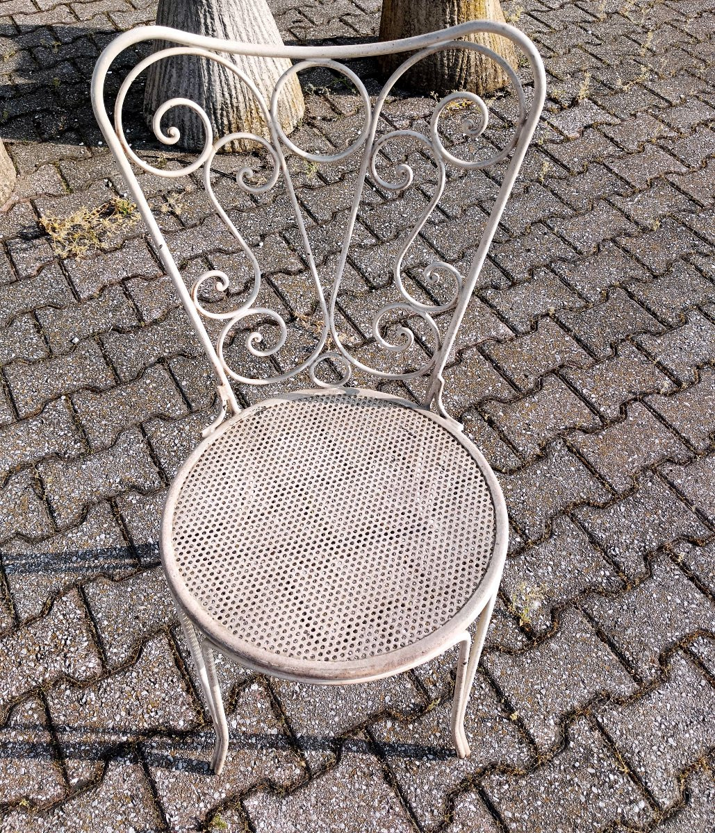 GARDEN SELCTION-photo-3