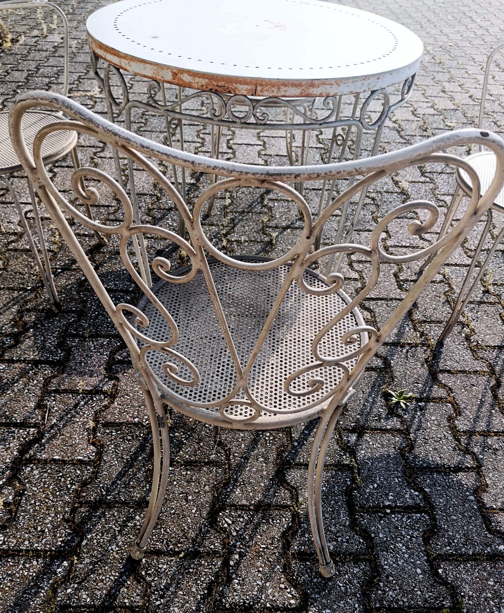 GARDEN SELCTION-photo-6
