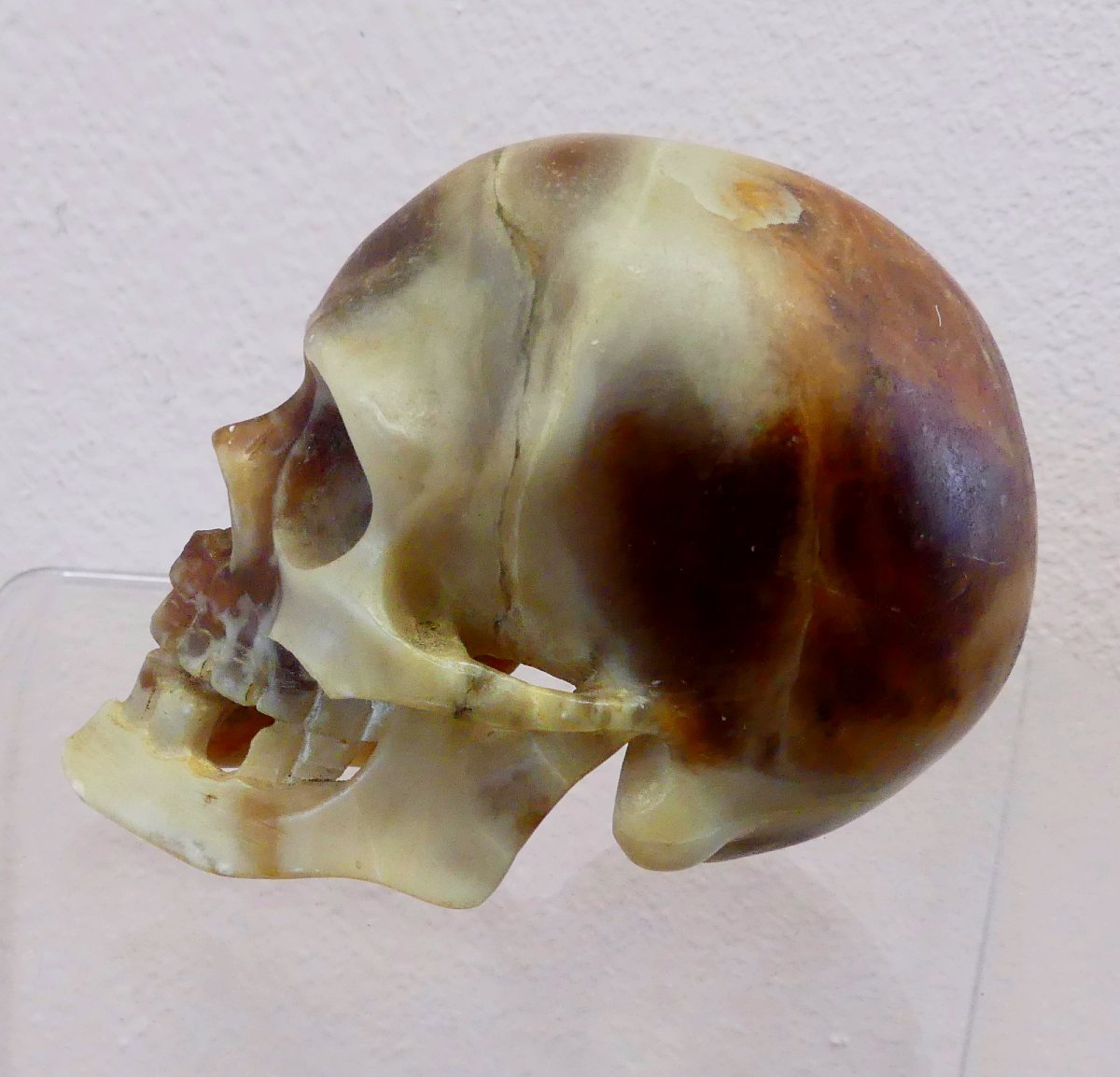 XIX SECOLO-photo-2